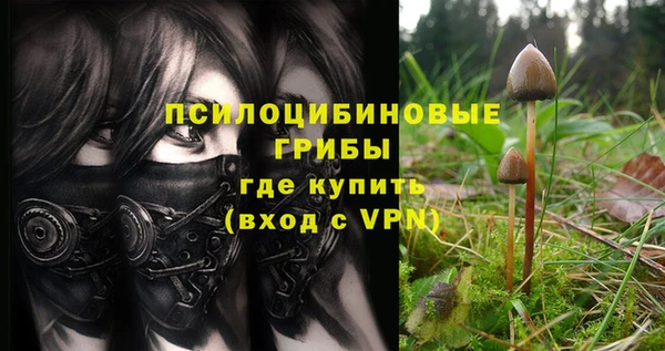 apvp Бугульма