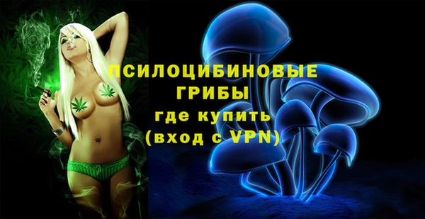 марки lsd Богданович